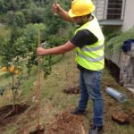 INSTALACION DE ELECTRODOS DE COBRE PARA SISTEMA DE TIERRAS